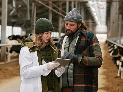 Техническая поддержка